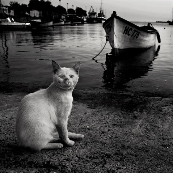 ...портрет с лодка... | Author Milena Galchina - friend | PHOTO FORUM