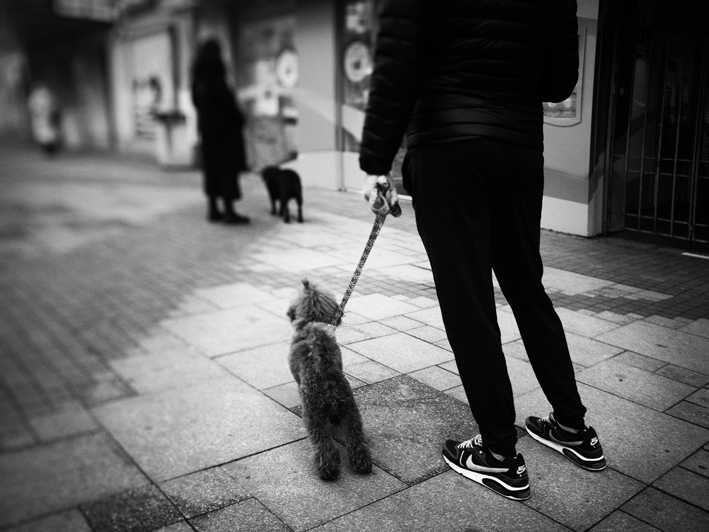 Кучешки баланс | Author plamen stoev - pstoev | PHOTO FORUM
