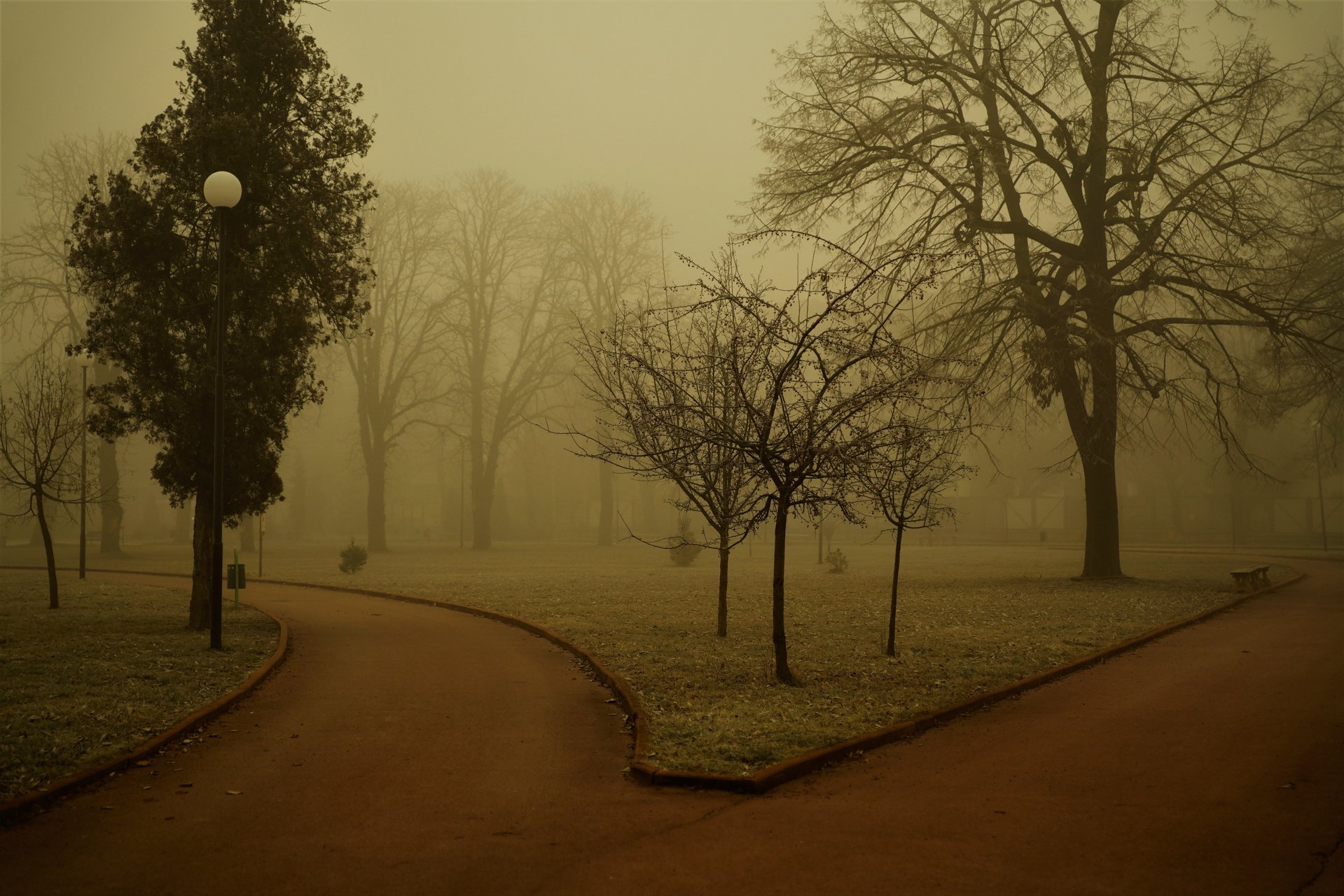 Мъглива сутрин | Author Toni Atanasova-Obretenova - ABATO | PHOTO FORUM
