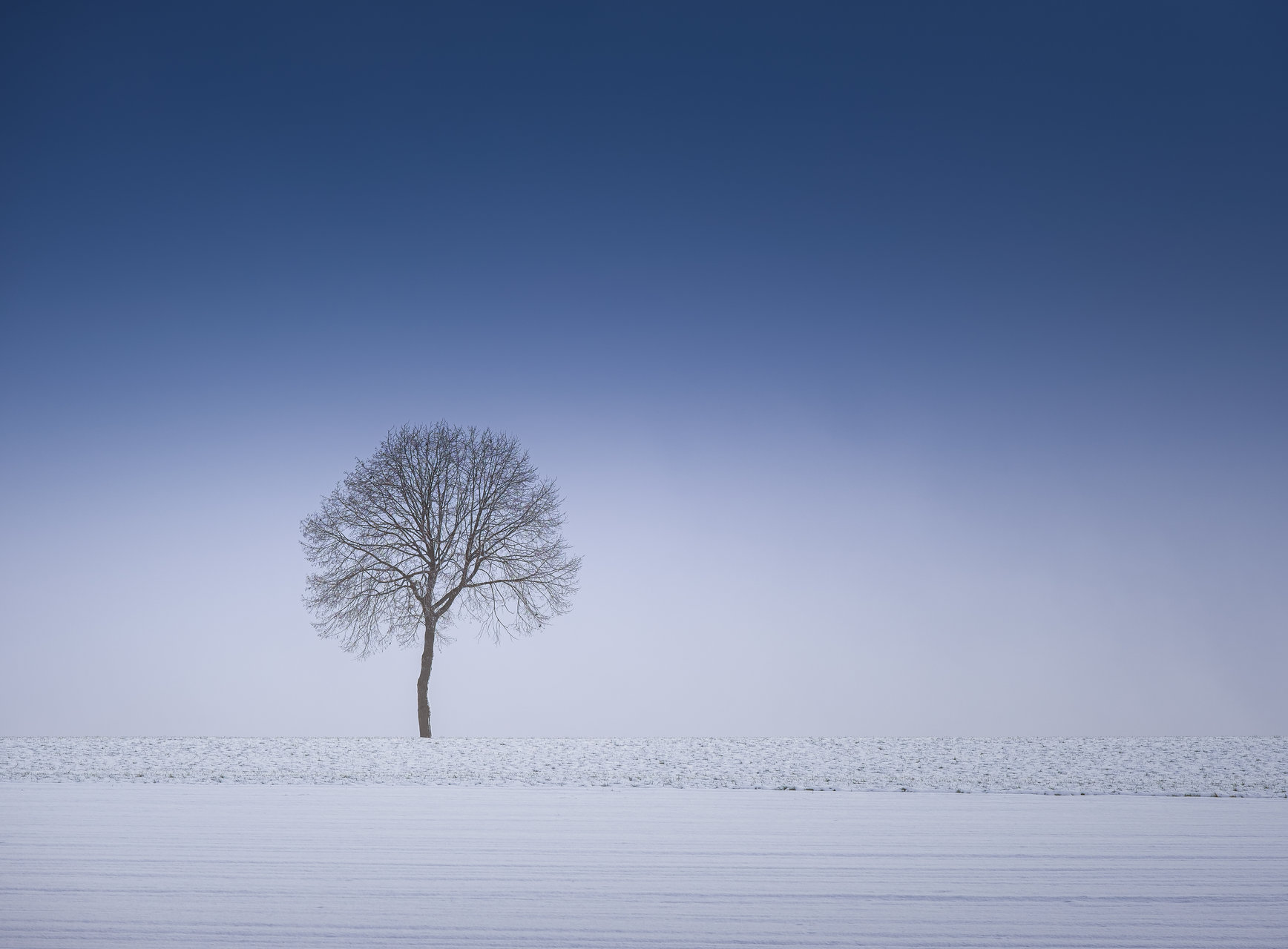 Winter silence от Tefik Rustemov - Tefik