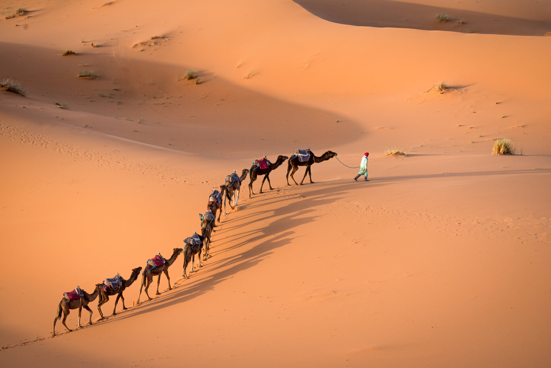 Бедуинът и кервана | Author Noncho Ivanov - non40 | PHOTO FORUM