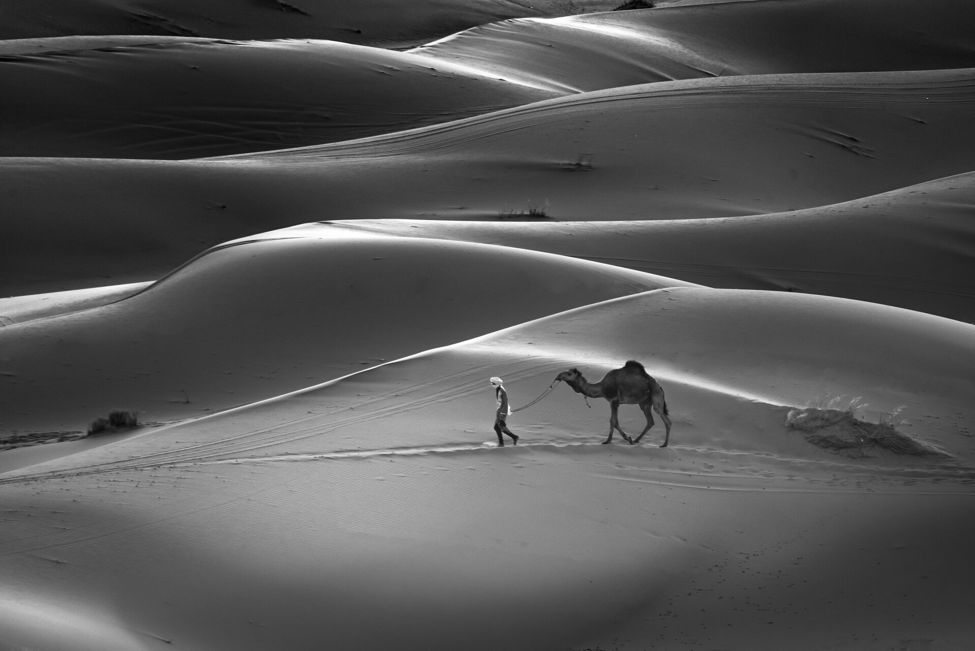 Бедуинът и пустинята | Author Noncho Ivanov - non40 | PHOTO FORUM