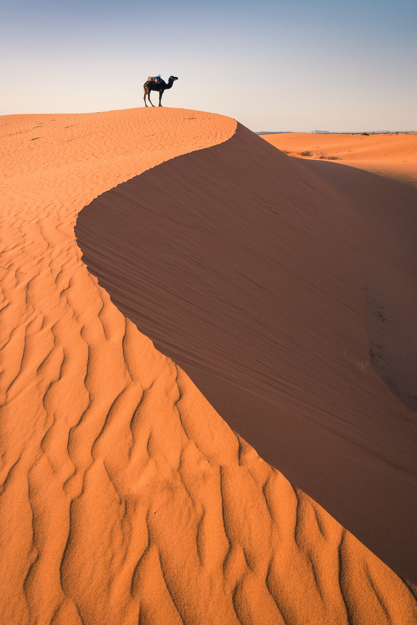 Сахара | Author Zhenya Madzharova-Petrova - Egwene_al_Vere | PHOTO FORUM