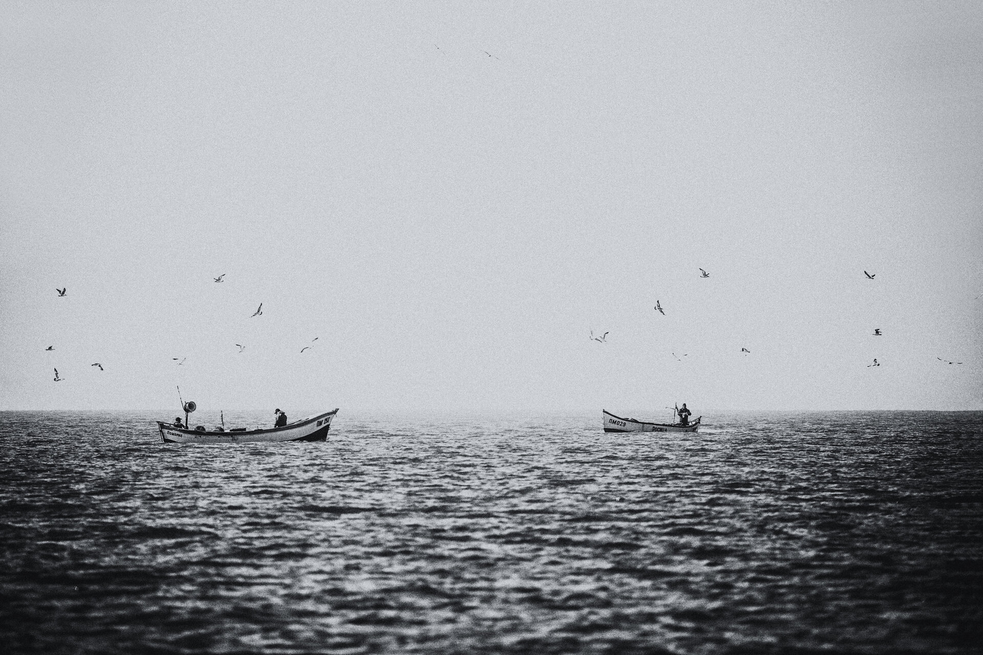 Рибарски живот | Author Atanas Atanasov - tarantulaxxx | PHOTO FORUM