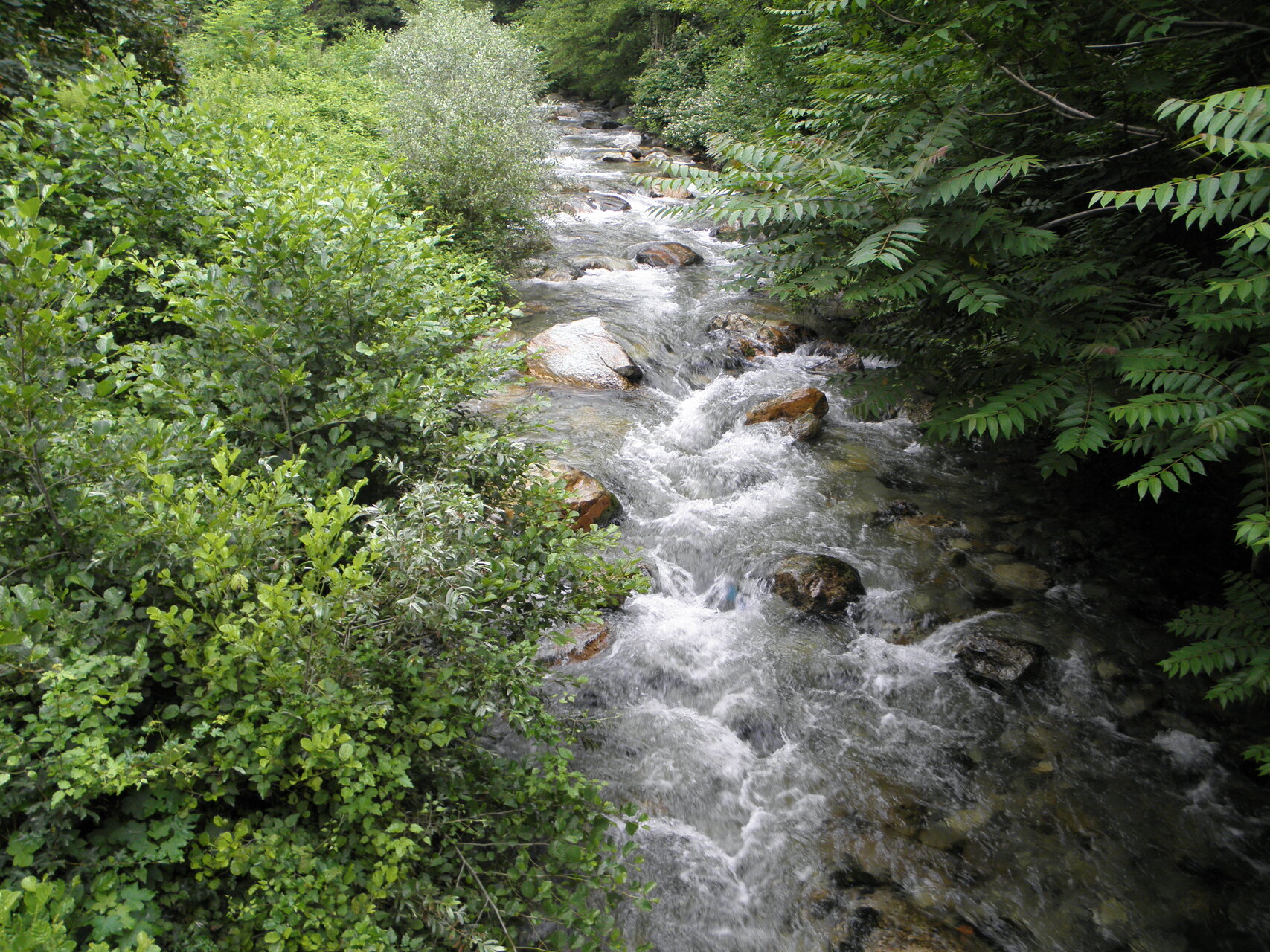Природа река Карлово от Petci - pipetko