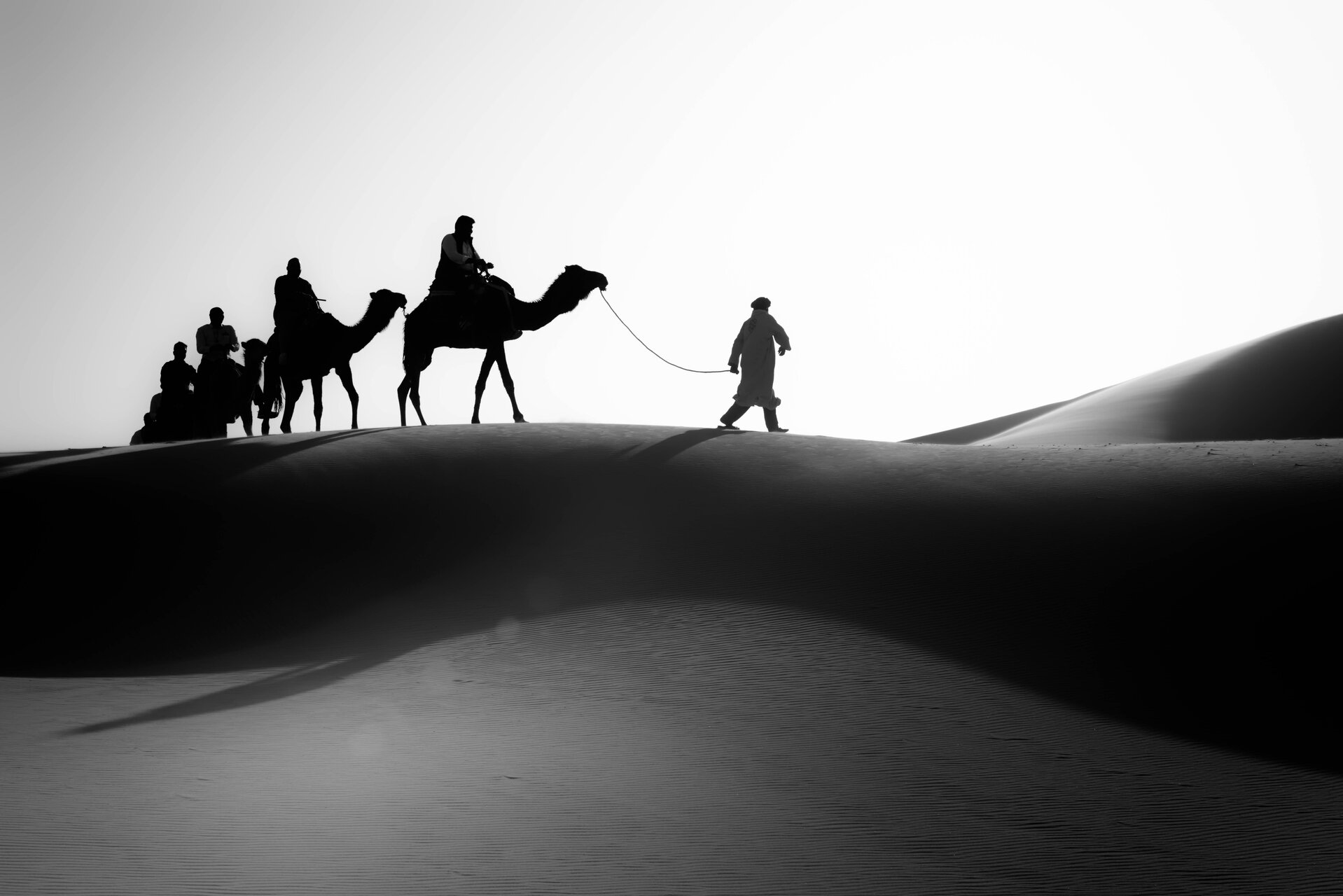 Пустинни силуети | Author Dimo Hristev - Pablo79 | PHOTO FORUM