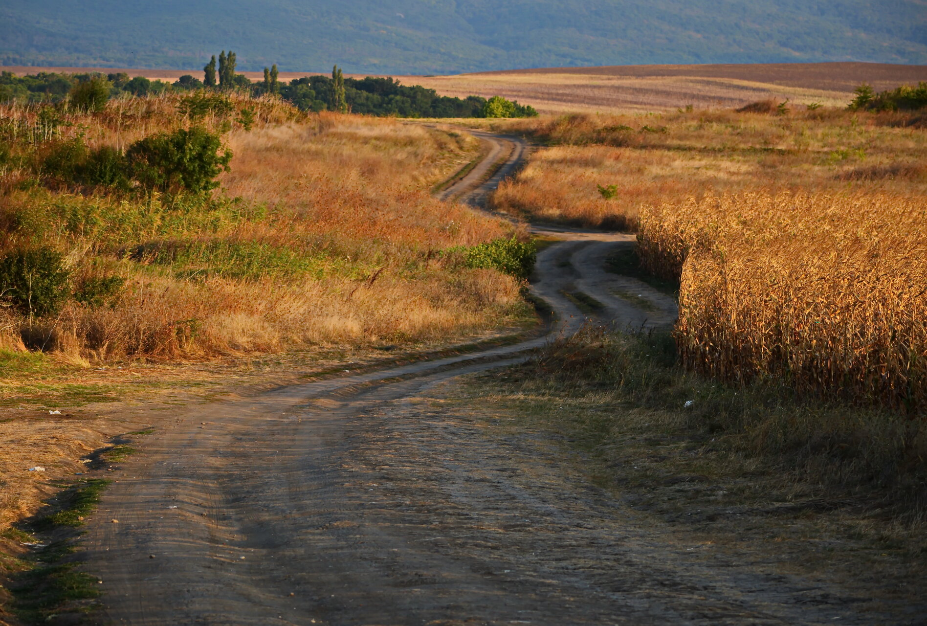 Пътят към селските гробища | Author Dobromir Neykov - Dobnej | PHOTO FORUM