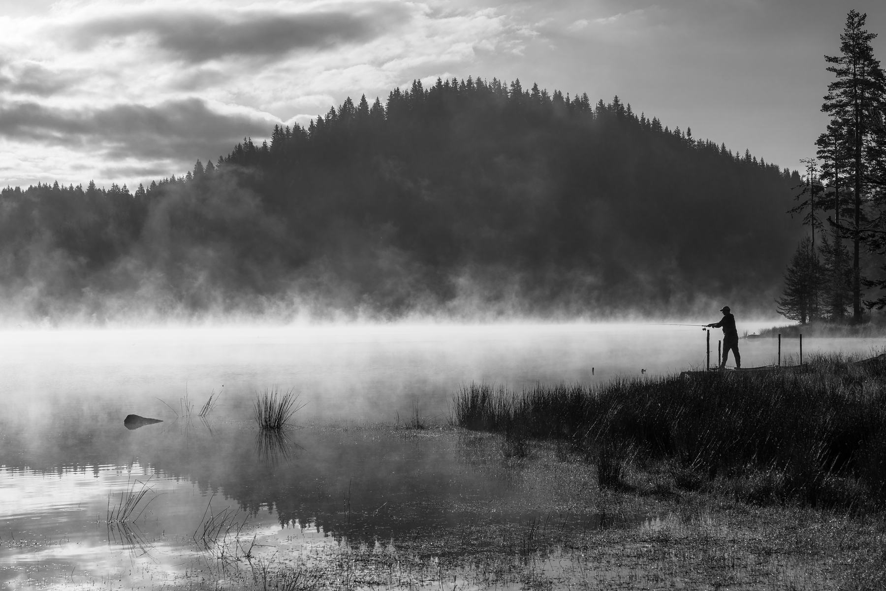Риболов в мътни води | Author Yuliyan Ivanov - Julius | PHOTO FORUM