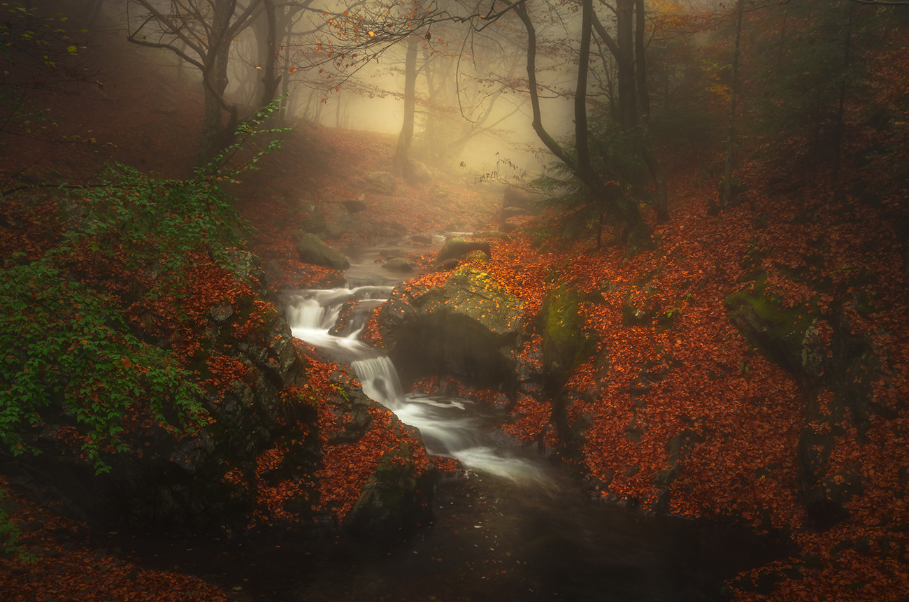 Groovy autumn time | Author Alexander Alexandrov - sandart | PHOTO FORUM