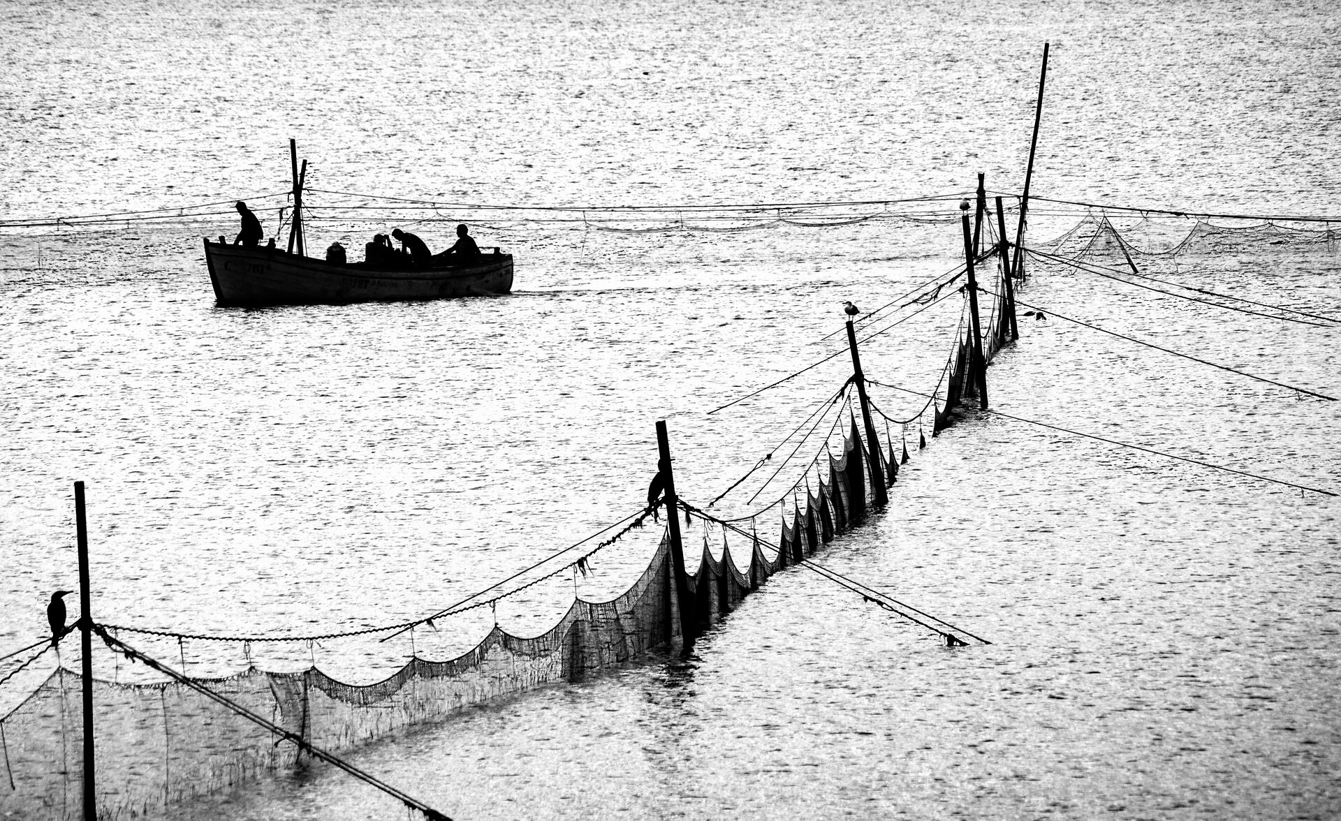 Рибари в даляна | Author Nadezhda Raycheva - sunnyhope | PHOTO FORUM