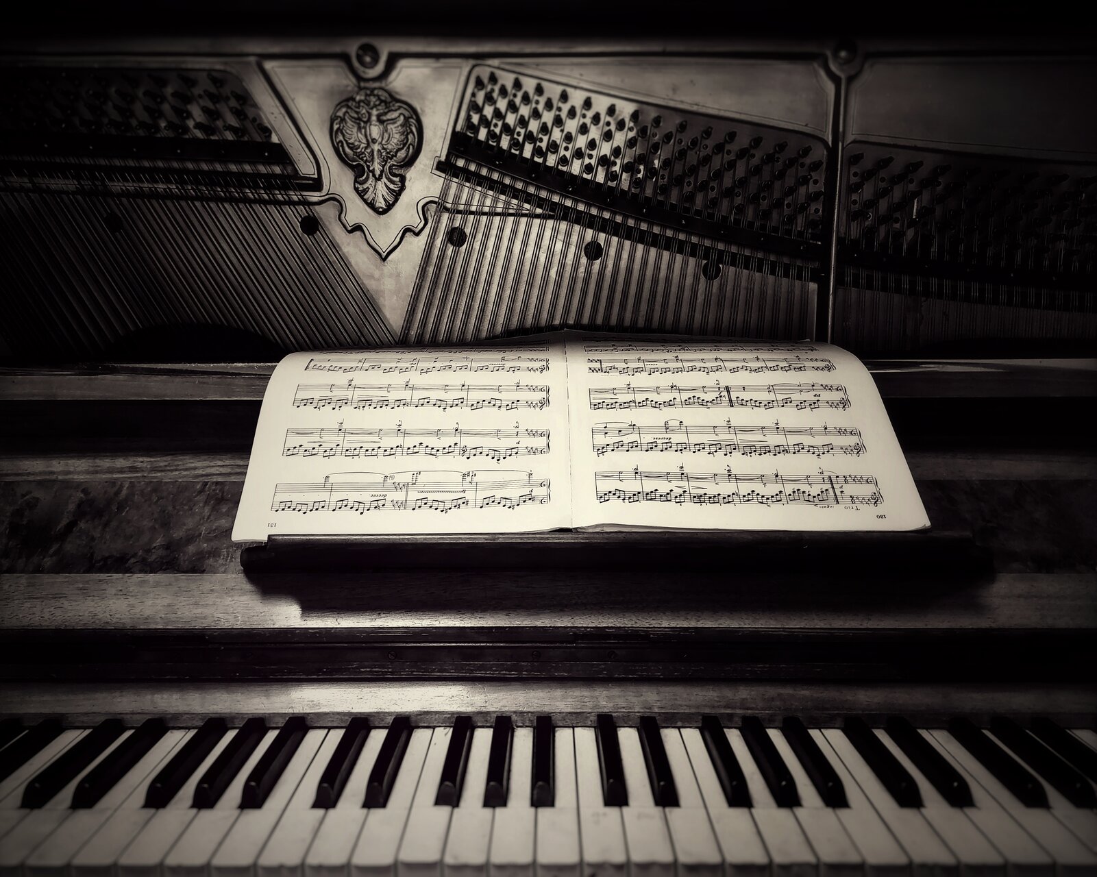 Клавишите, на които никой не свиреше | Author Silviа M - Silmark | PHOTO FORUM
