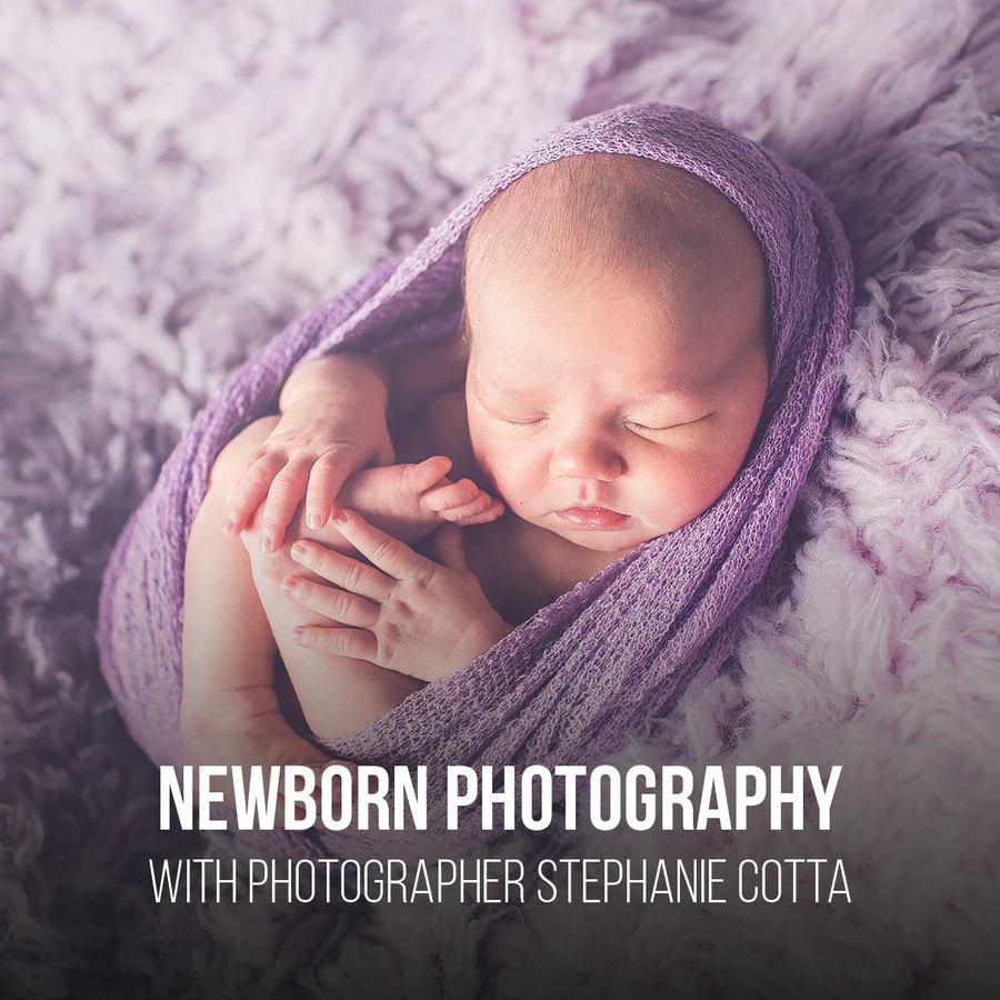 Get the best lessons on newborn photography | Pro Edu от PRO   EDU - proedu