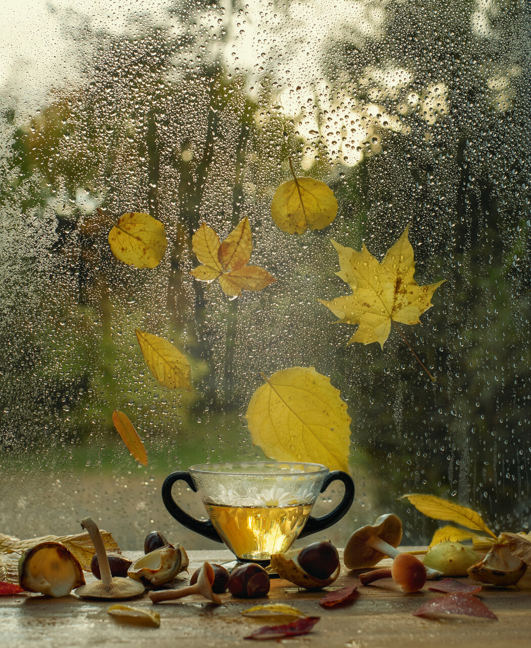  ...autumn tea... от Nikki Georgieva  V E G A N I K - vega_nik