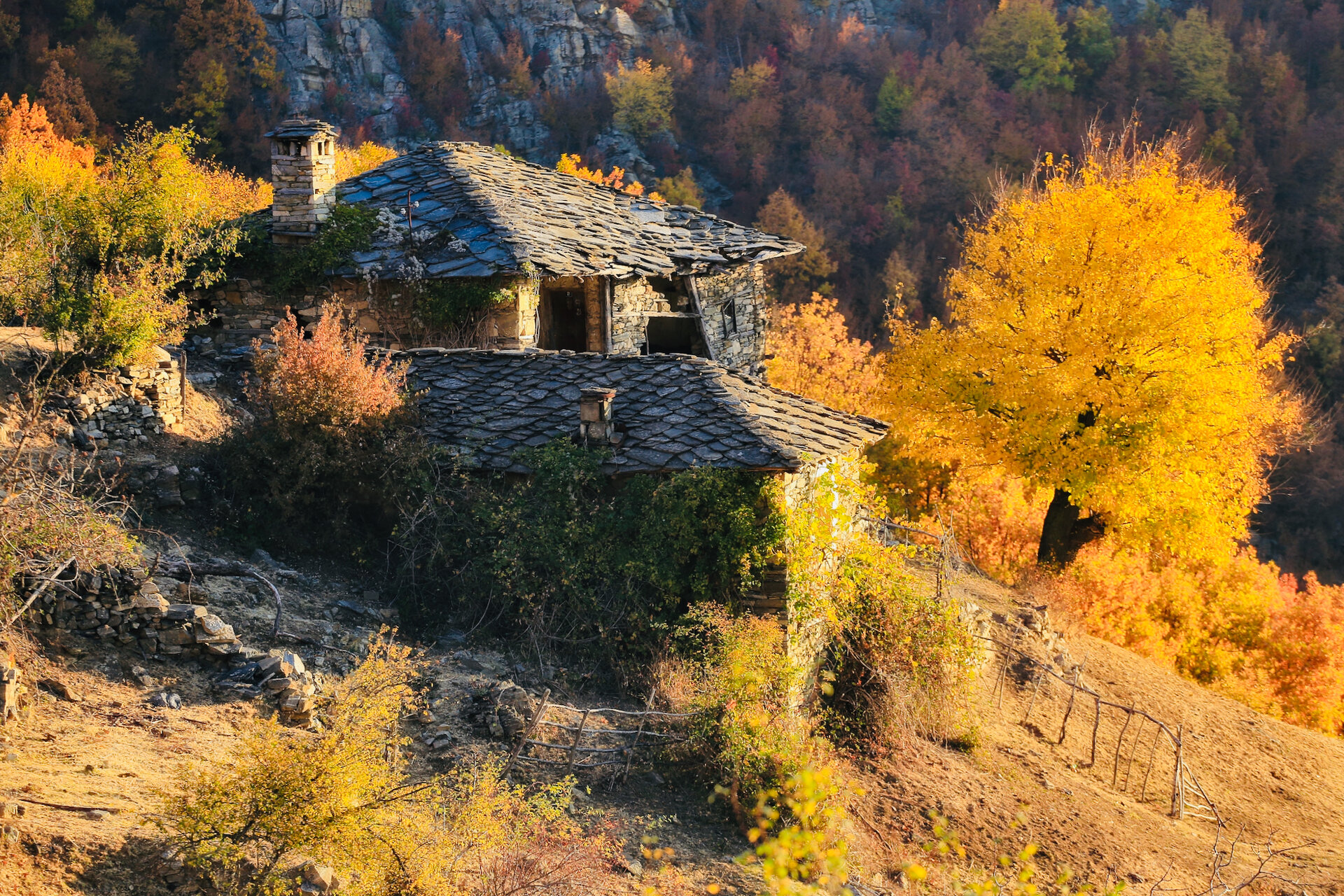 Есенно в Родопа планина от Tyuncher Eminov - tyunkata
