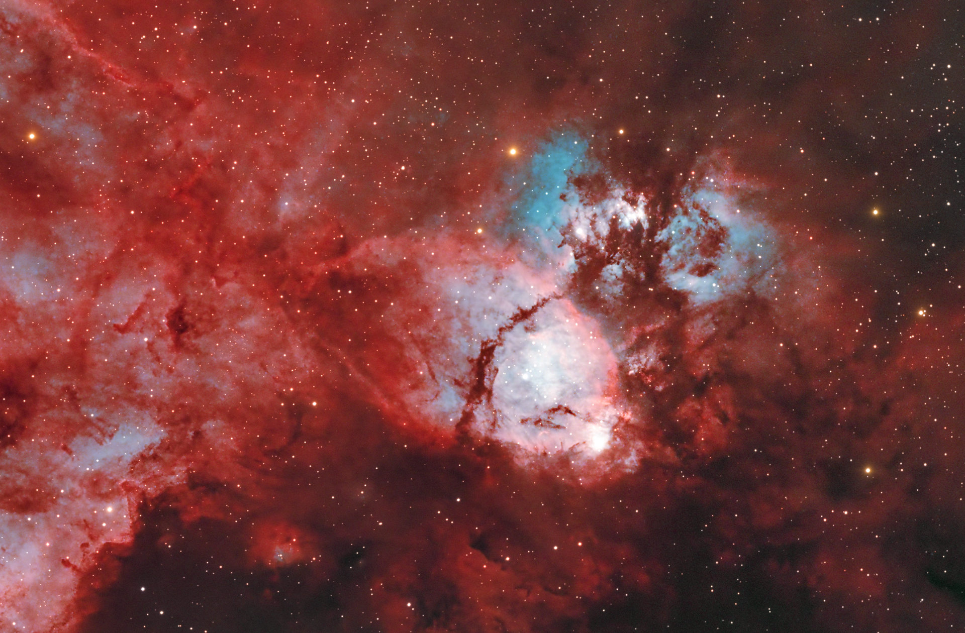 IC 1795 - The Fish Head Nebula | Author Ivan Raichev - sektor | PHOTO FORUM