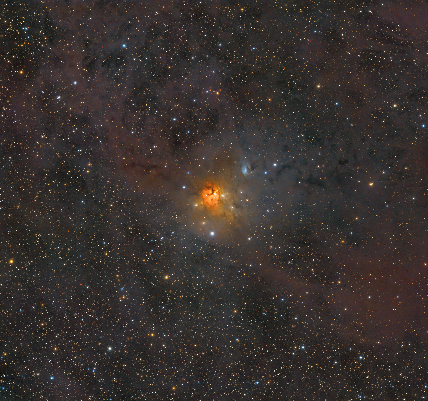 NGC 1579 - Северна Трифида | Author Ivan Raichev - sektor | PHOTO FORUM
