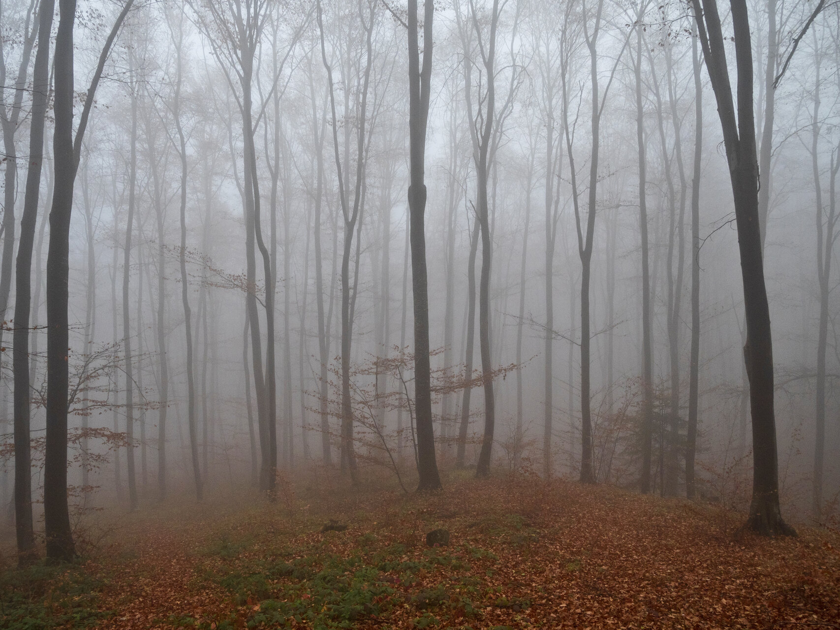 Есенна гора | Author Mincho Karavastev - Minski | PHOTO FORUM
