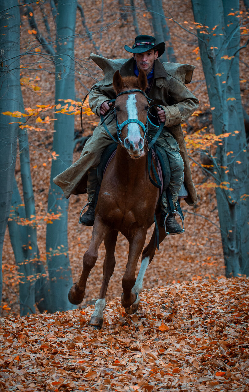 Autumn riders. | Author Dimityr Pavlov - doctoraaa | PHOTO FORUM