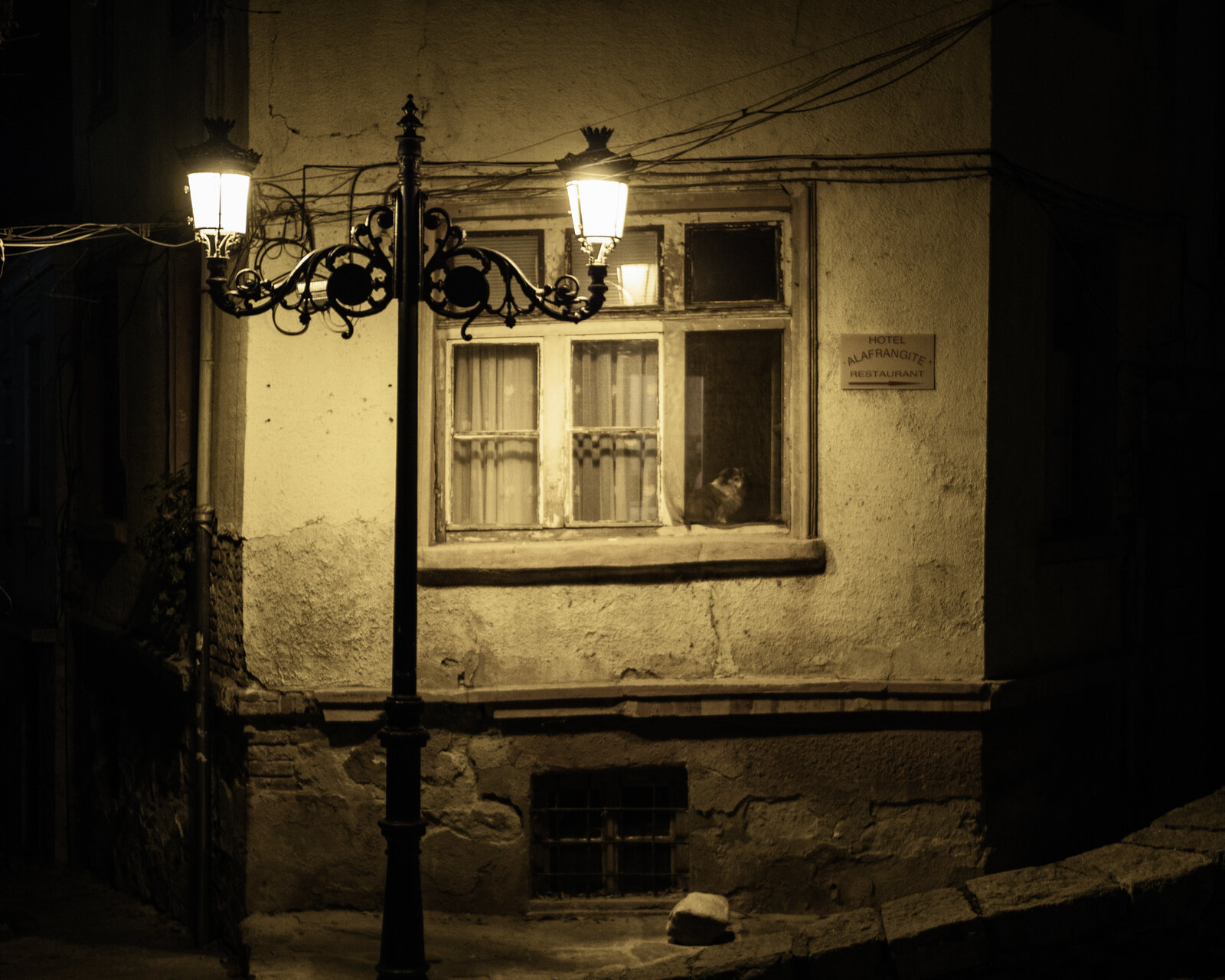 Нощ, улица, фенер... | Author Mincho Karavastev - Minski | PHOTO FORUM