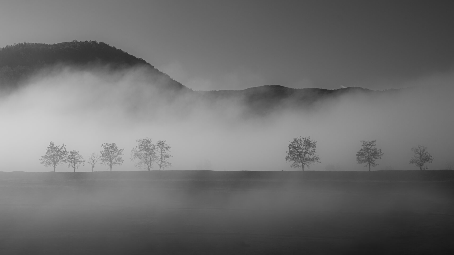В мъглата | Author Georgi Nunev - jorojeton | PHOTO FORUM