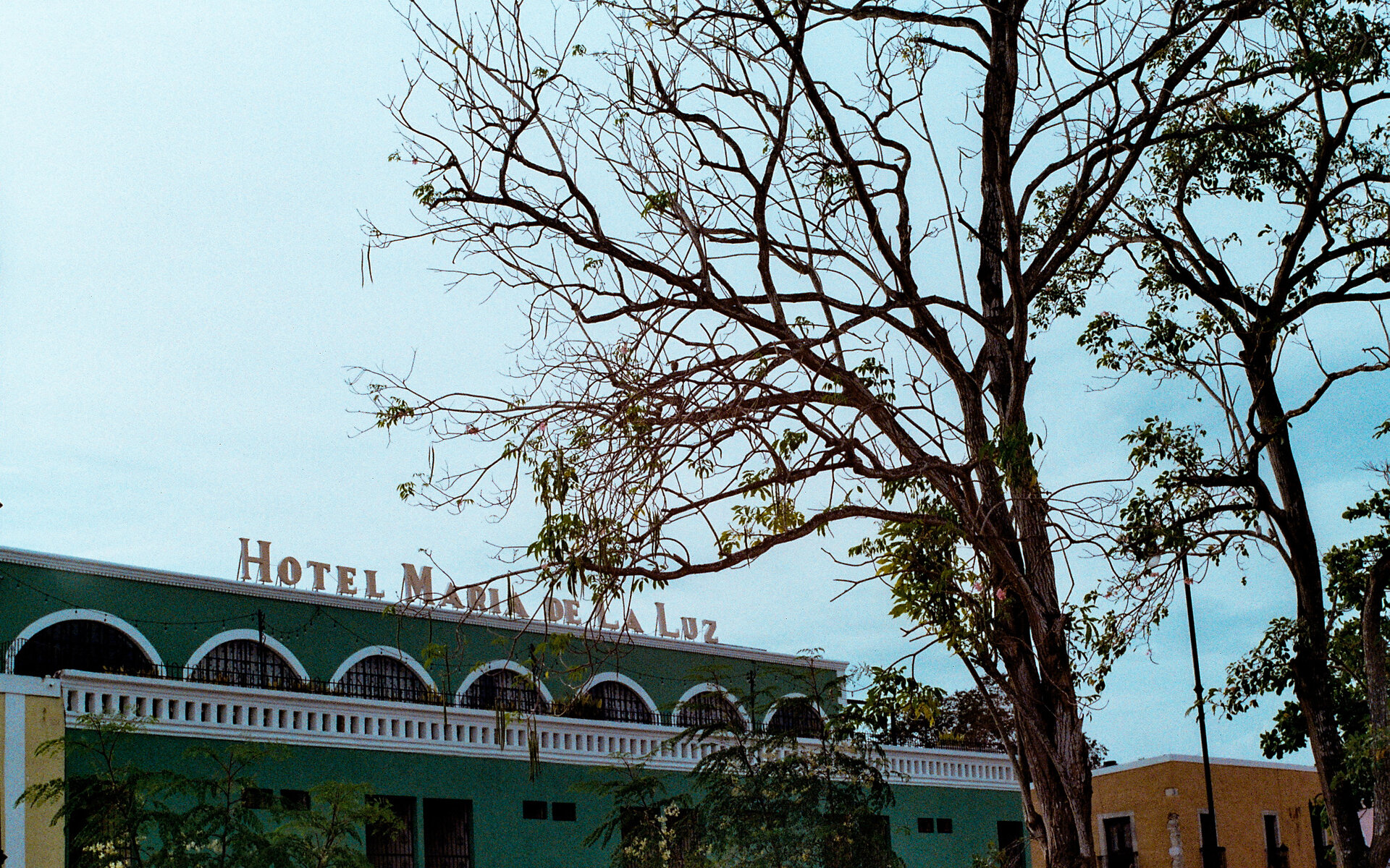 Valladolid (Mexico) от Lyubo Kirov - TheFilmGuy