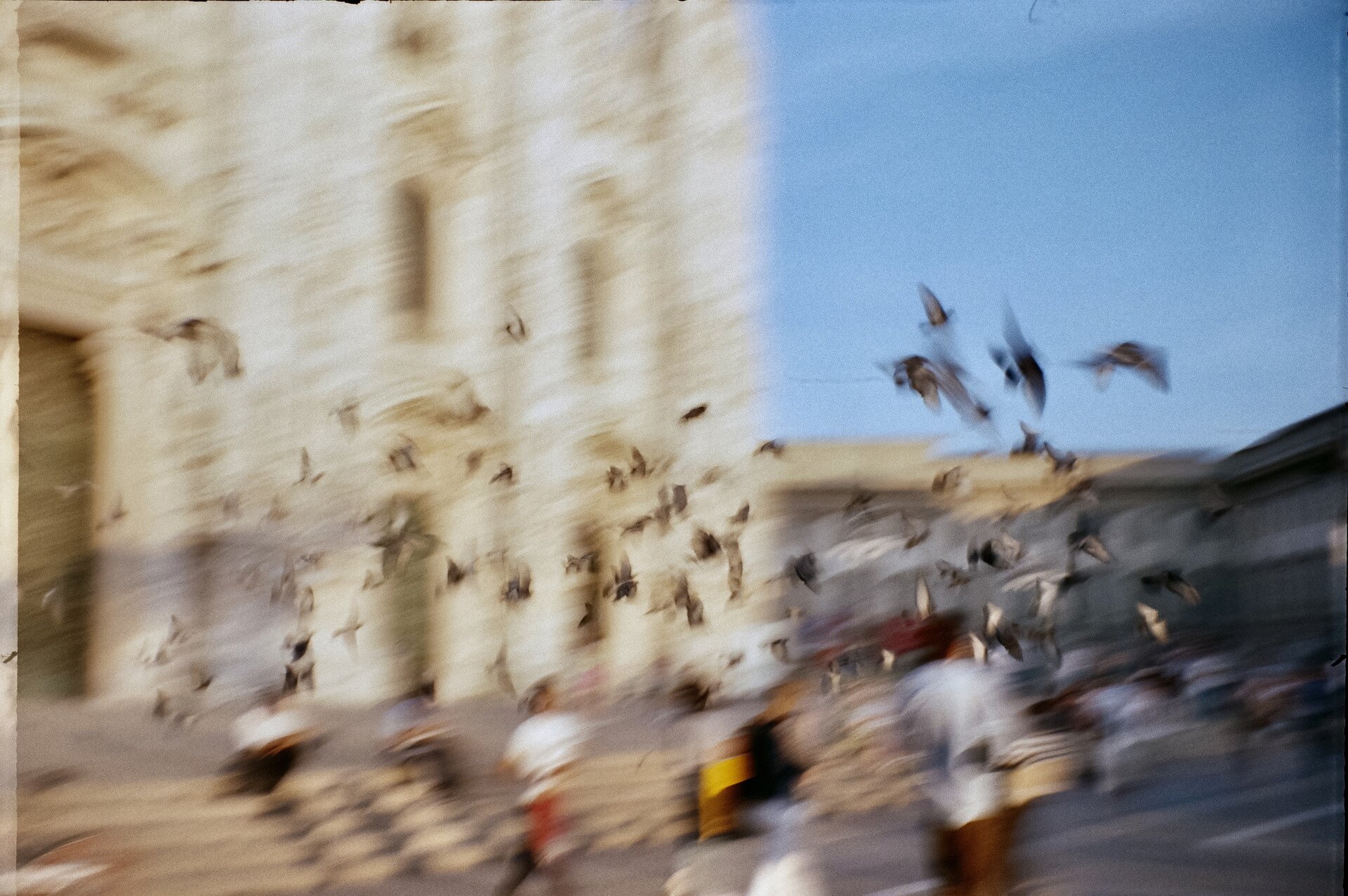 Pigeons di Milano от Nikolay Samokovski - Nakqta