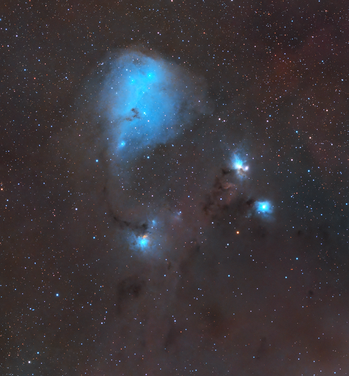 IC447 - отражателна мъглявина в съзвездието Еднорог | Author Ivan Raichev - sektor | PHOTO FORUM