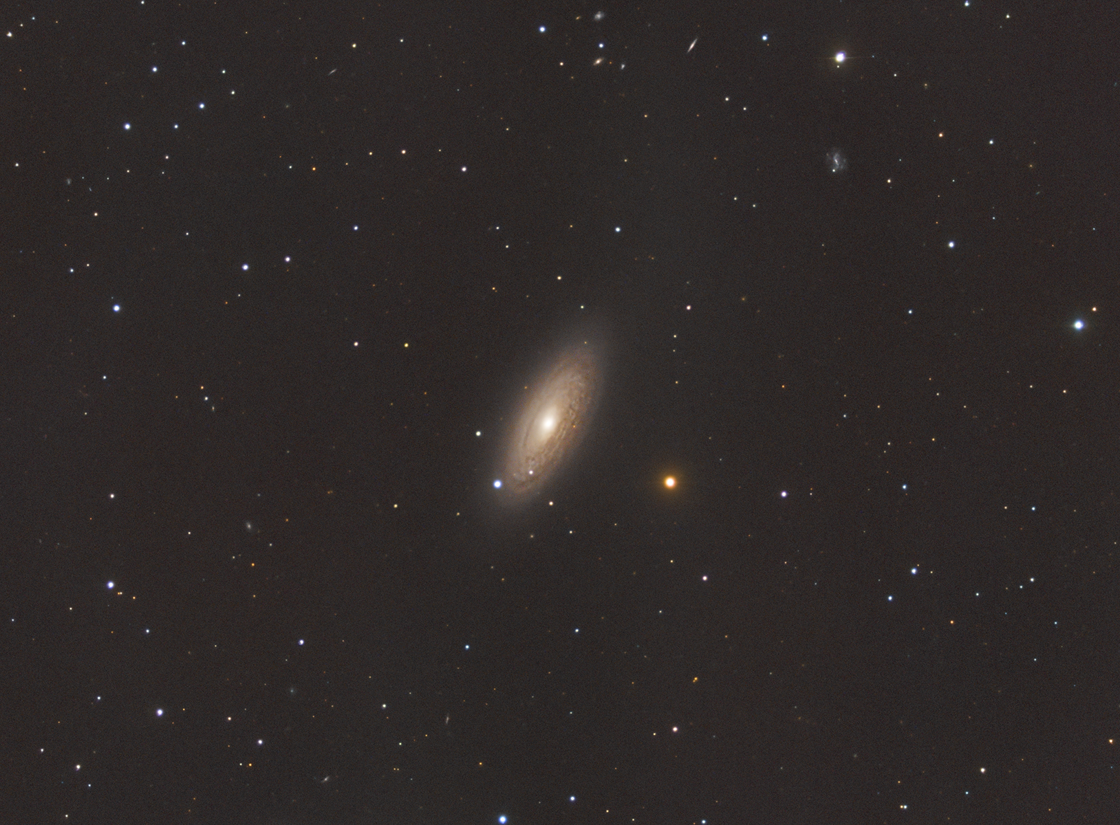 NGC 2841 - Tiger's eye galaxy | Author Ivan Raichev - sektor | PHOTO FORUM