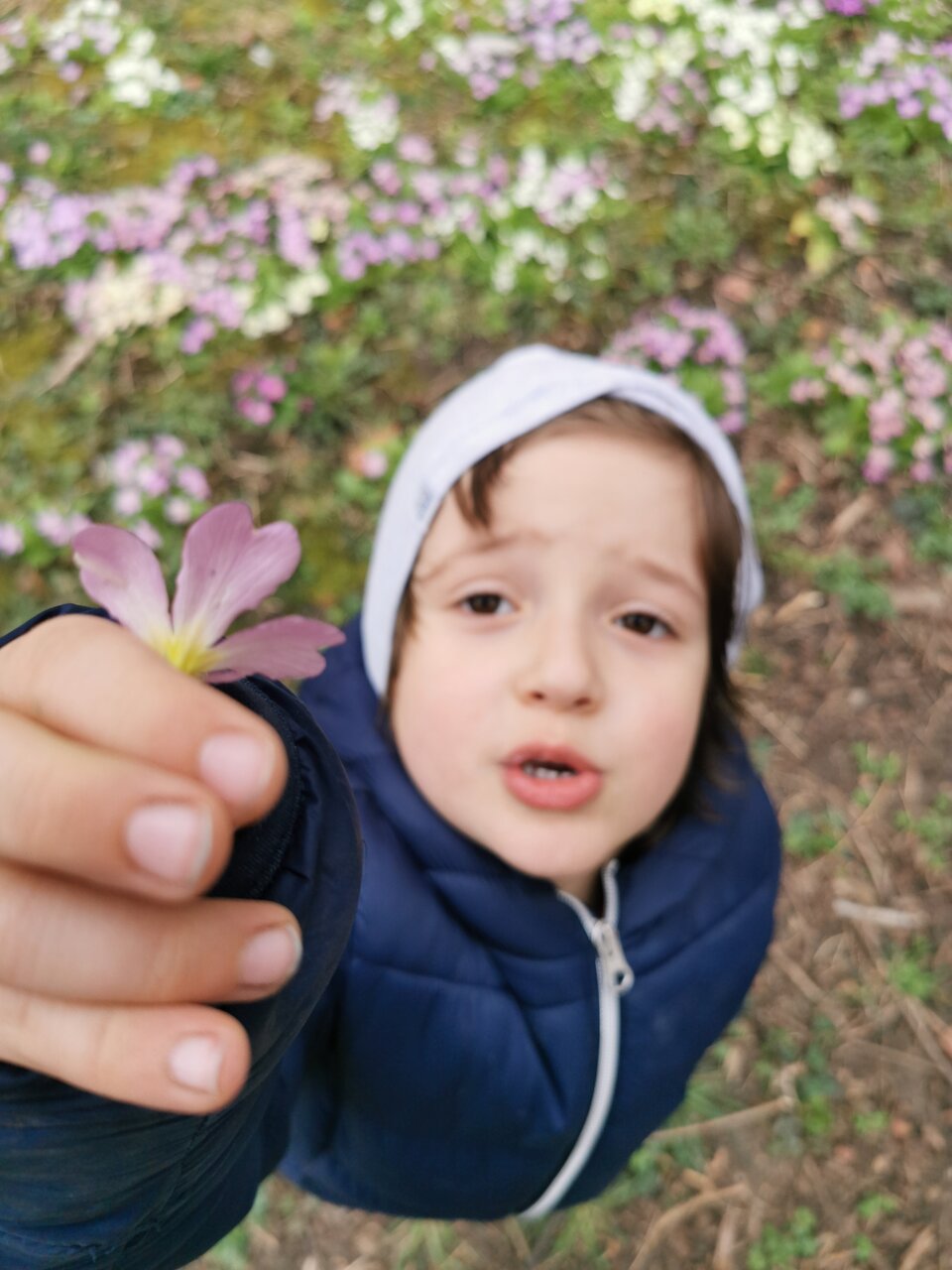 Дядо, дойде ли Пролетта:-) | Author Dobromir Neykov - Dobnej | PHOTO FORUM
