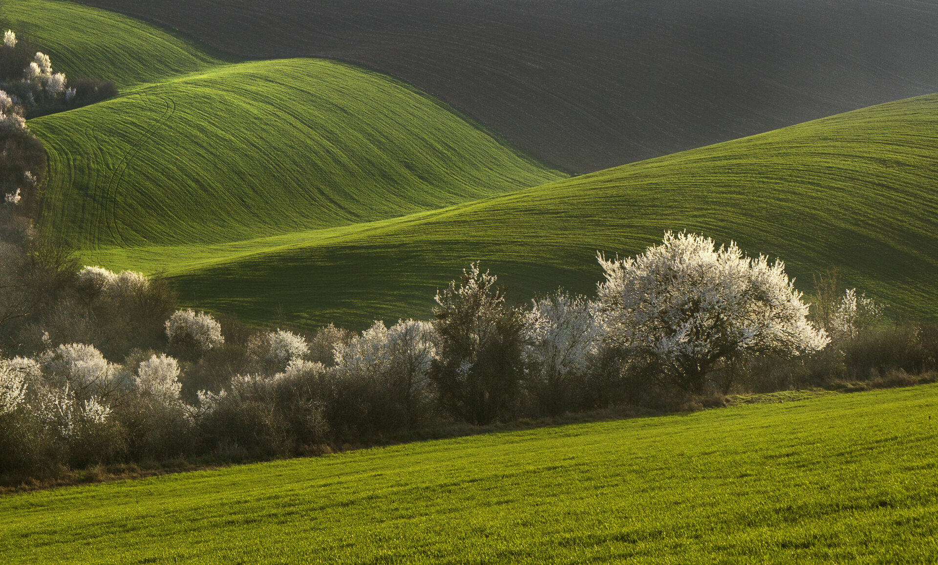 Photo in Landscape | Author tsvetina ivanova - cve | PHOTO FORUM