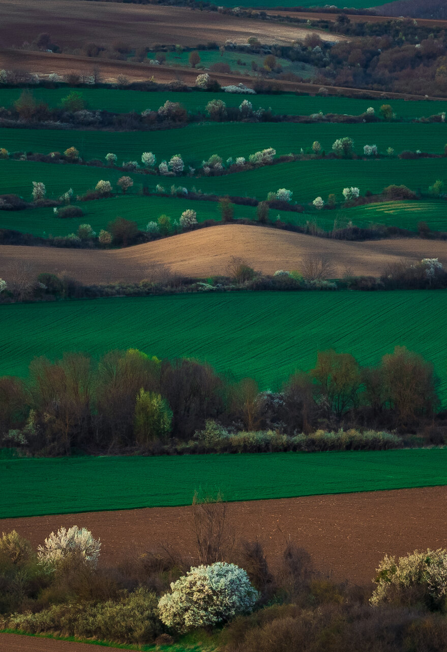 Photo in Landscape | Author Hristomir Hristov - hristomir.hristov | PHOTO FORUM