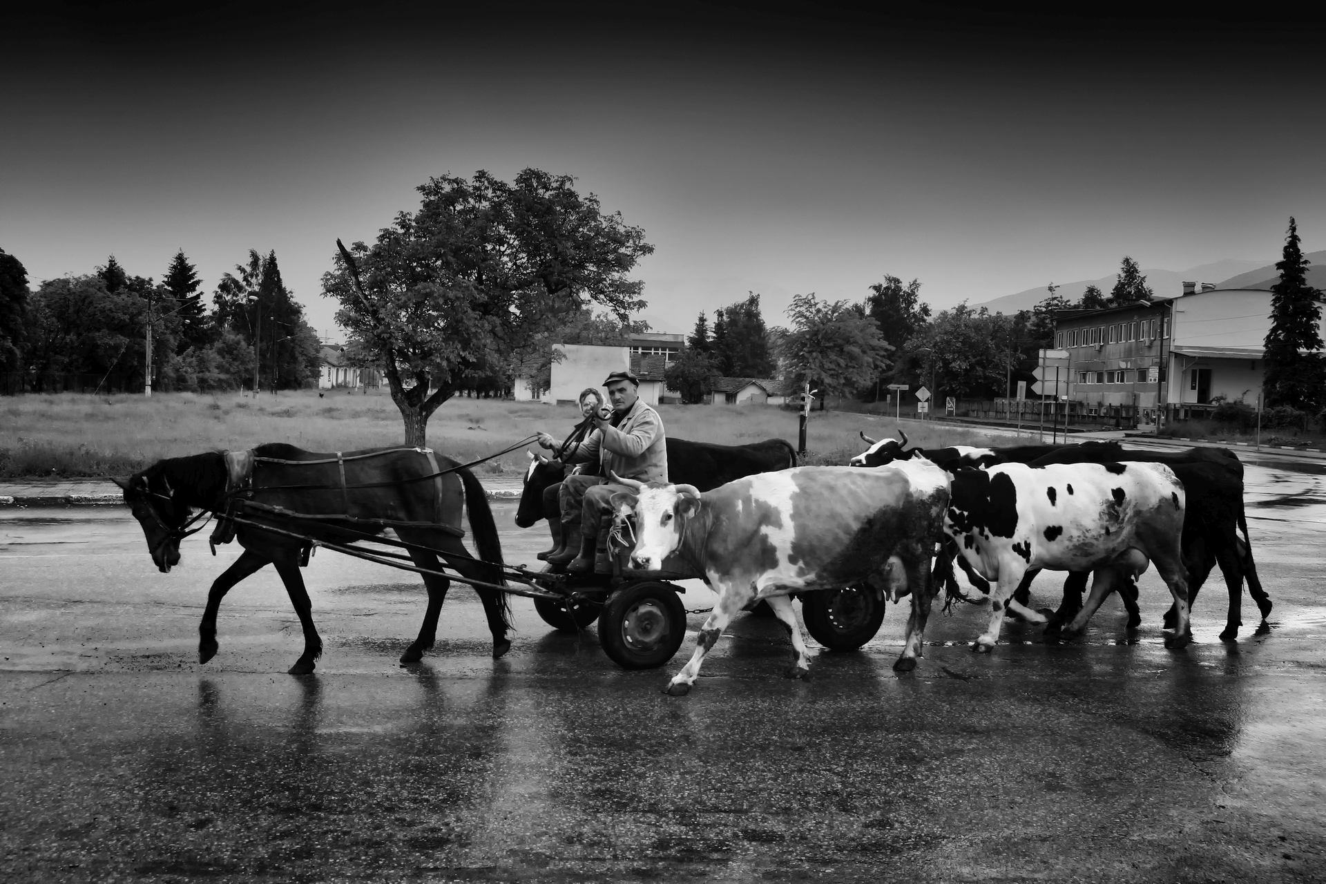..когато имаше фермери... | Author Lyubomir Vassilev - LinkBeat | PHOTO FORUM