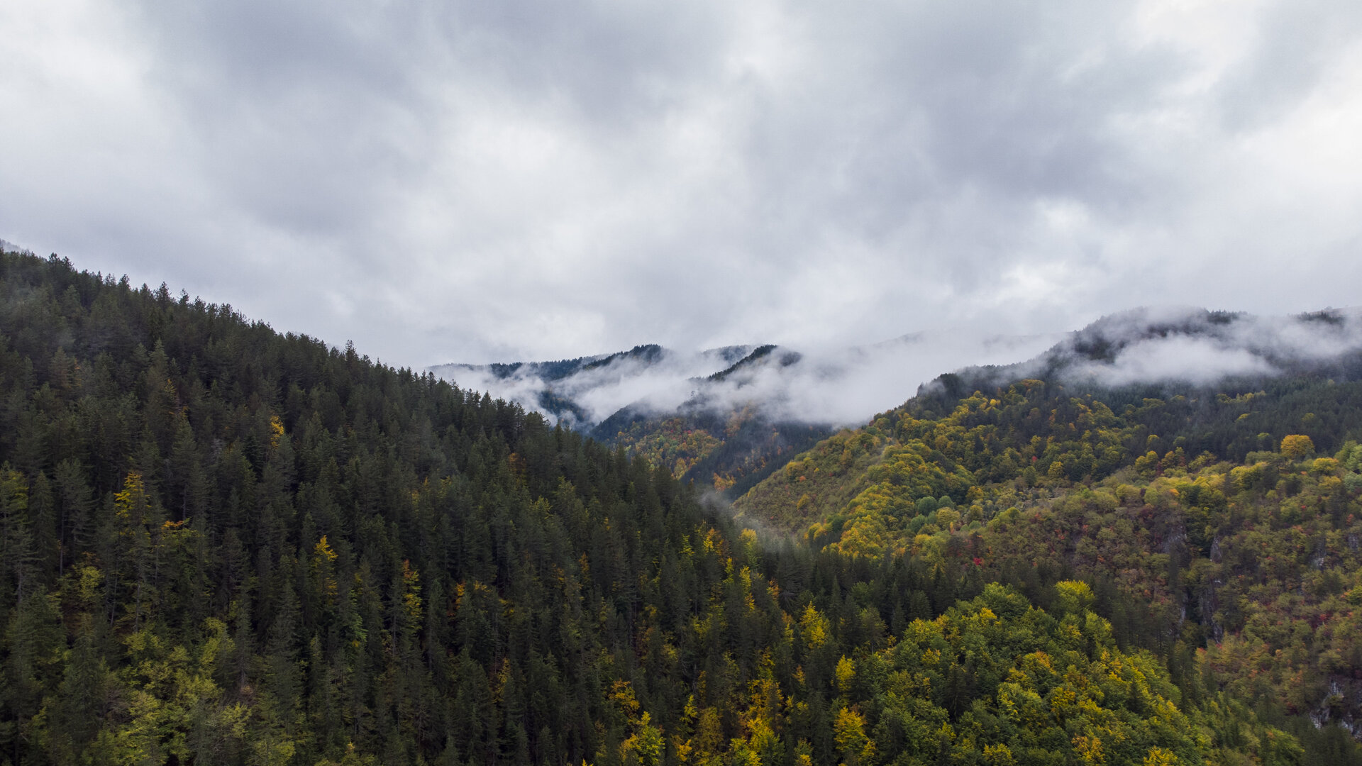 Rhodopi Mountains | Author Tsvetan Velichkov - DronePatrol | PHOTO FORUM