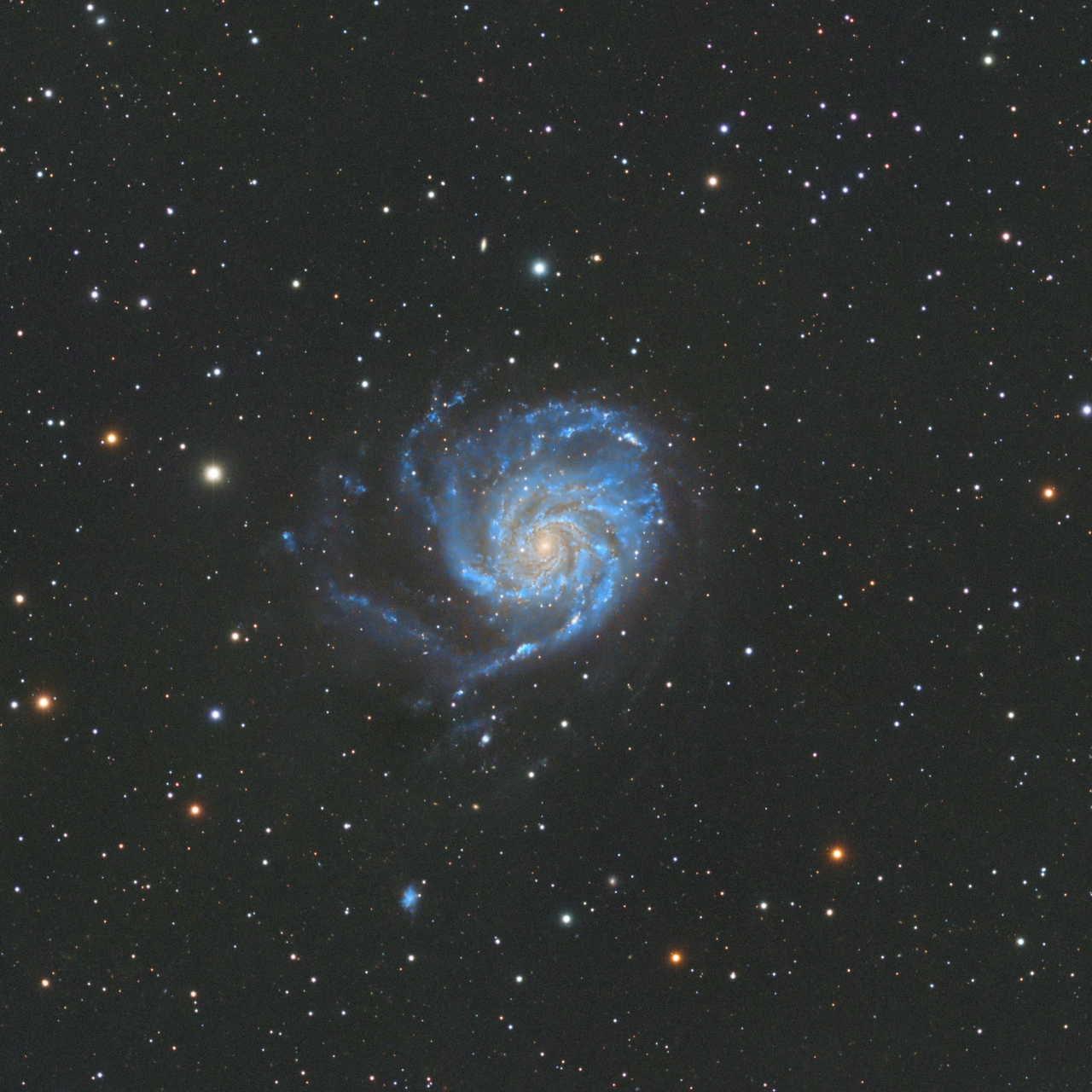 Спираловидна галактика М101 | Author Ivan Raichev - sektor | PHOTO FORUM