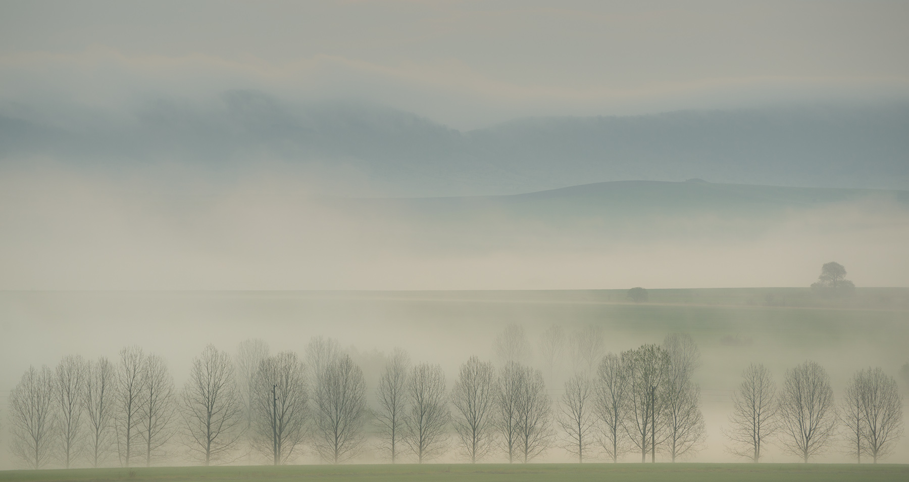 Пролетни мъгли | Author Philip Peynerdjiev - testmaniac | PHOTO FORUM