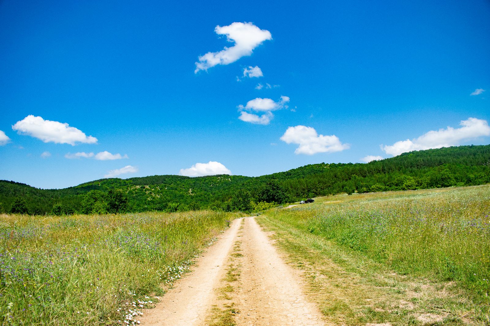 Photo in No category Author Atanaska Petrova Petrova20 PHOTO FORUM