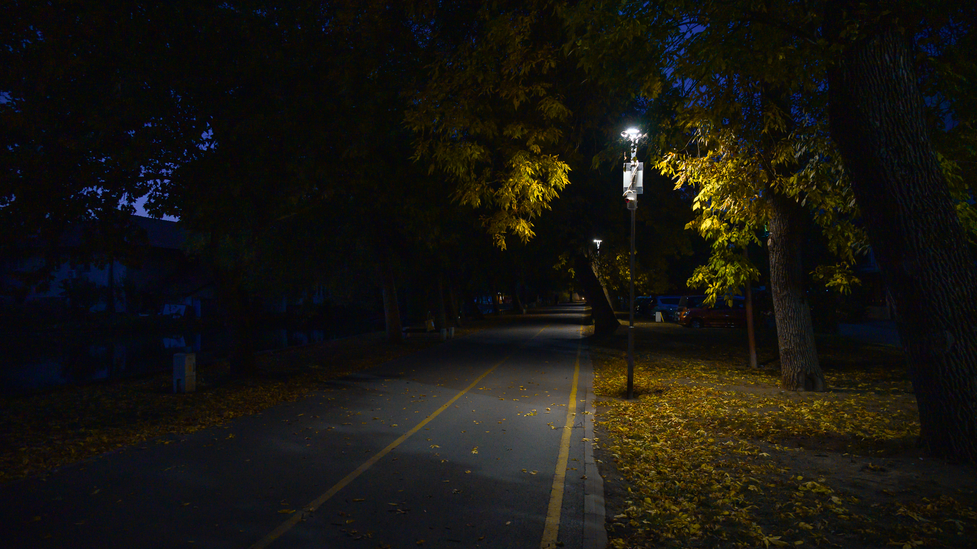 Рано сутринта в парка от Milen Mladenov - resco