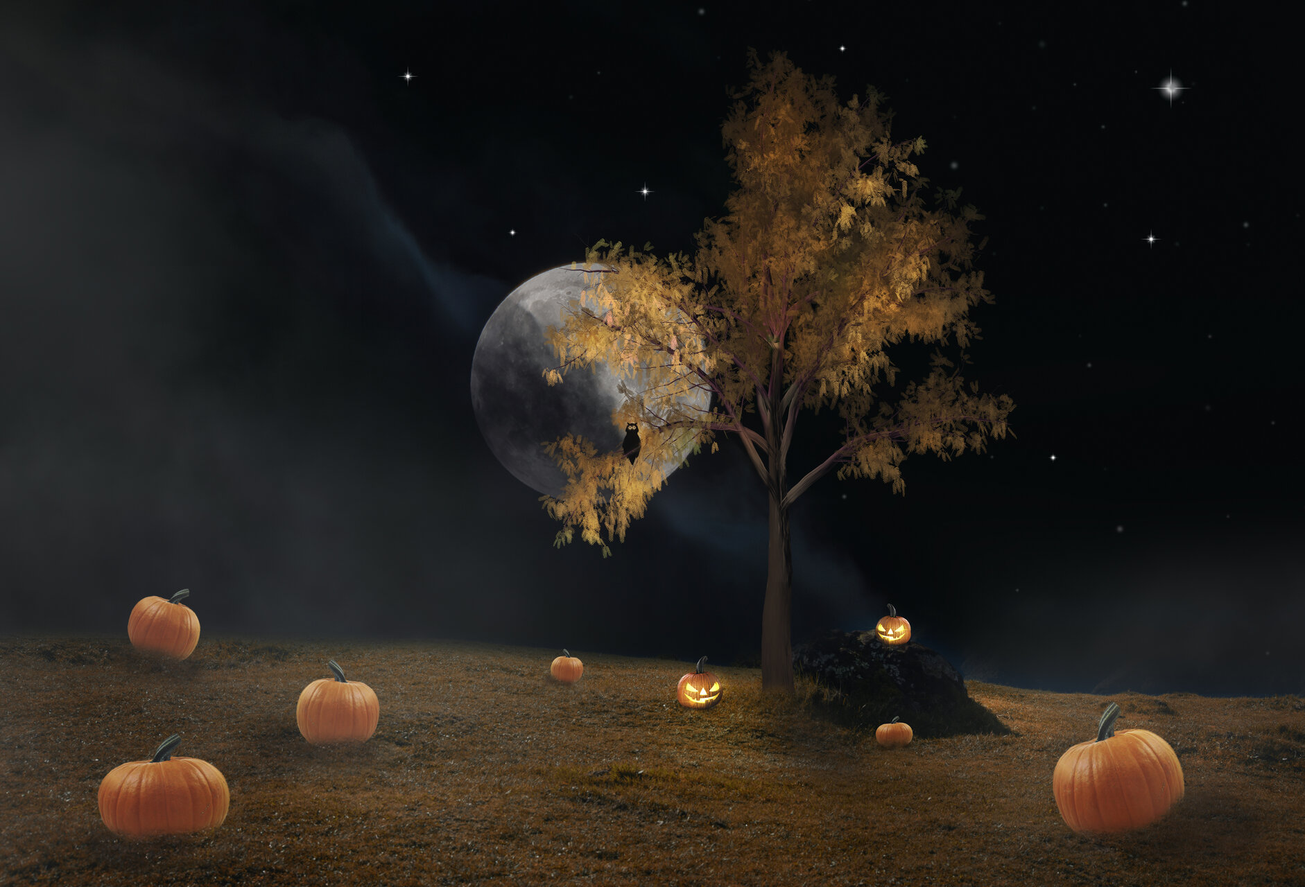  Pumpkin night.... от Nikki Georgieva  V E G A N I K - vega_nik