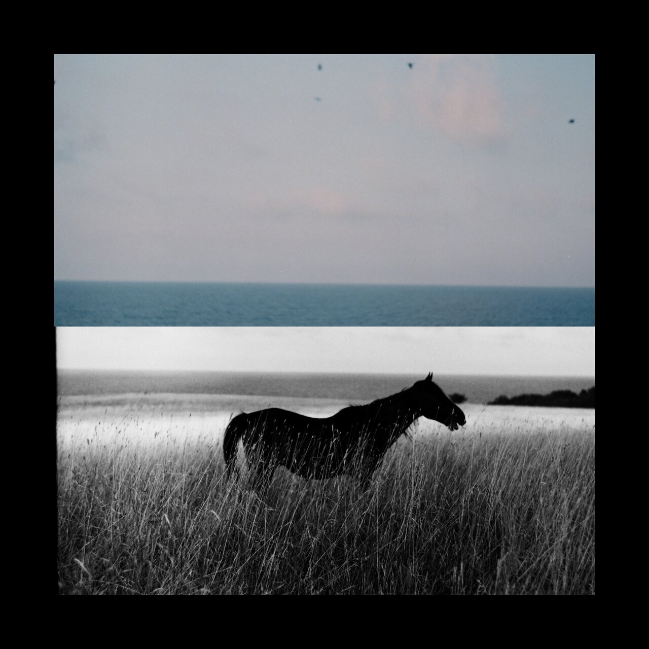  от НЕЛИ Я - smelly.nelly