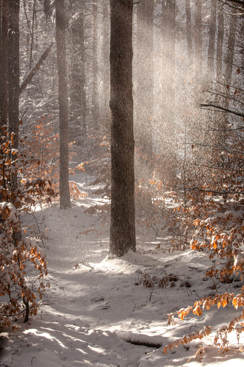 Winter Glow от Ivan Hristov - patriotbg