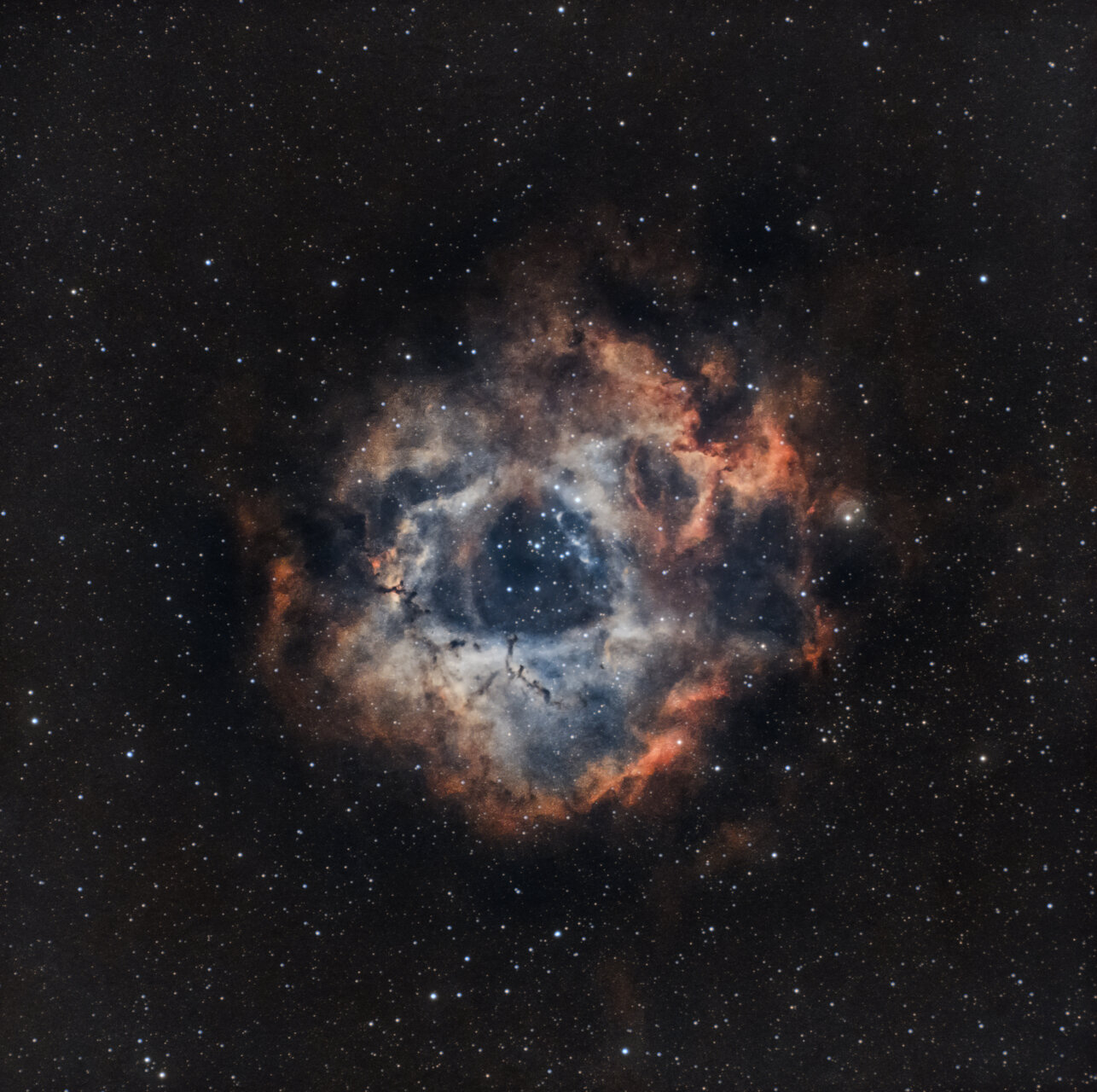 NGC 2237 - Мъглявината Розета. от Svetlozar Ivanov - SvetlyoAp