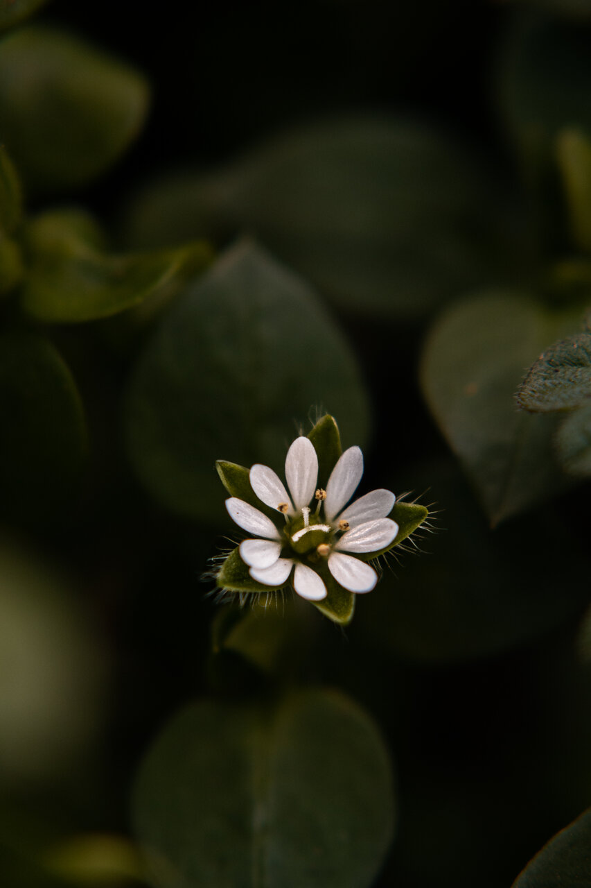 Alone in the crowd от Dzhuliyana Ilieva - julesslenses