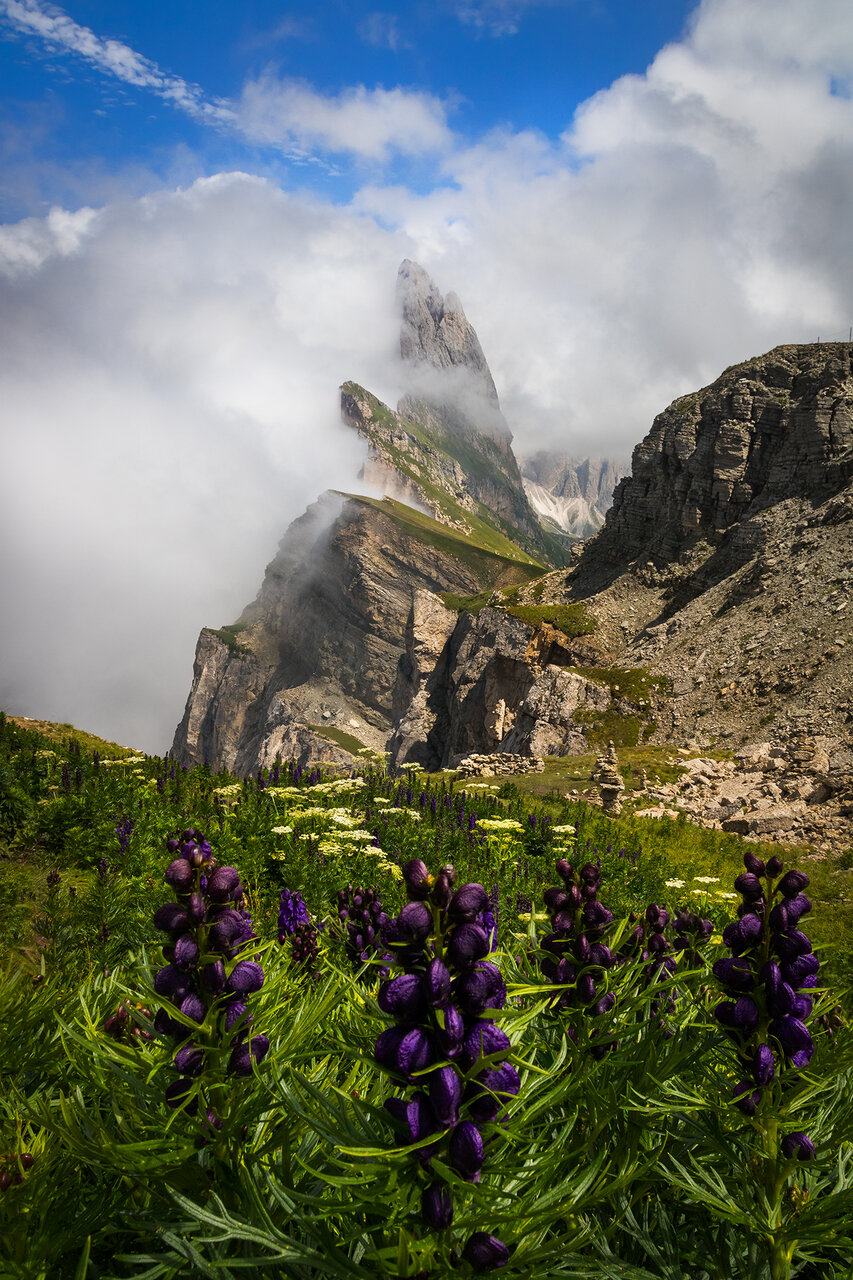 Seceda от Vania Tonova - vivian