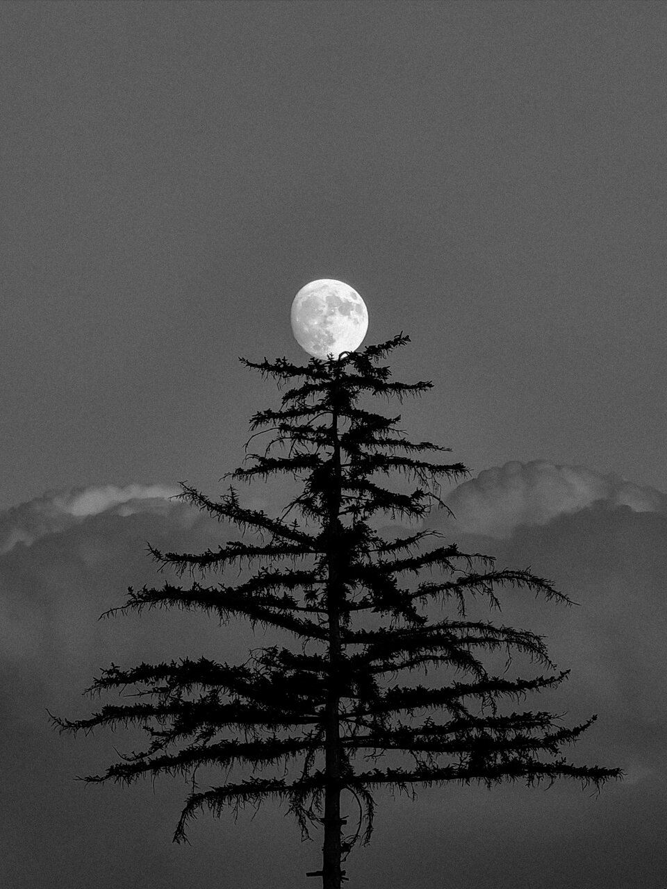 Почиваща луна. от Цветан Христов - cwettanx