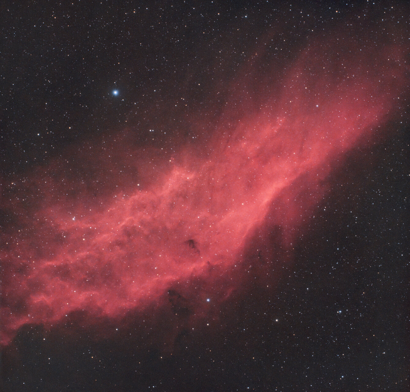 NGC 1499 - Мъглявината Калифорния от Svetlozar Ivanov - SvetlyoAp