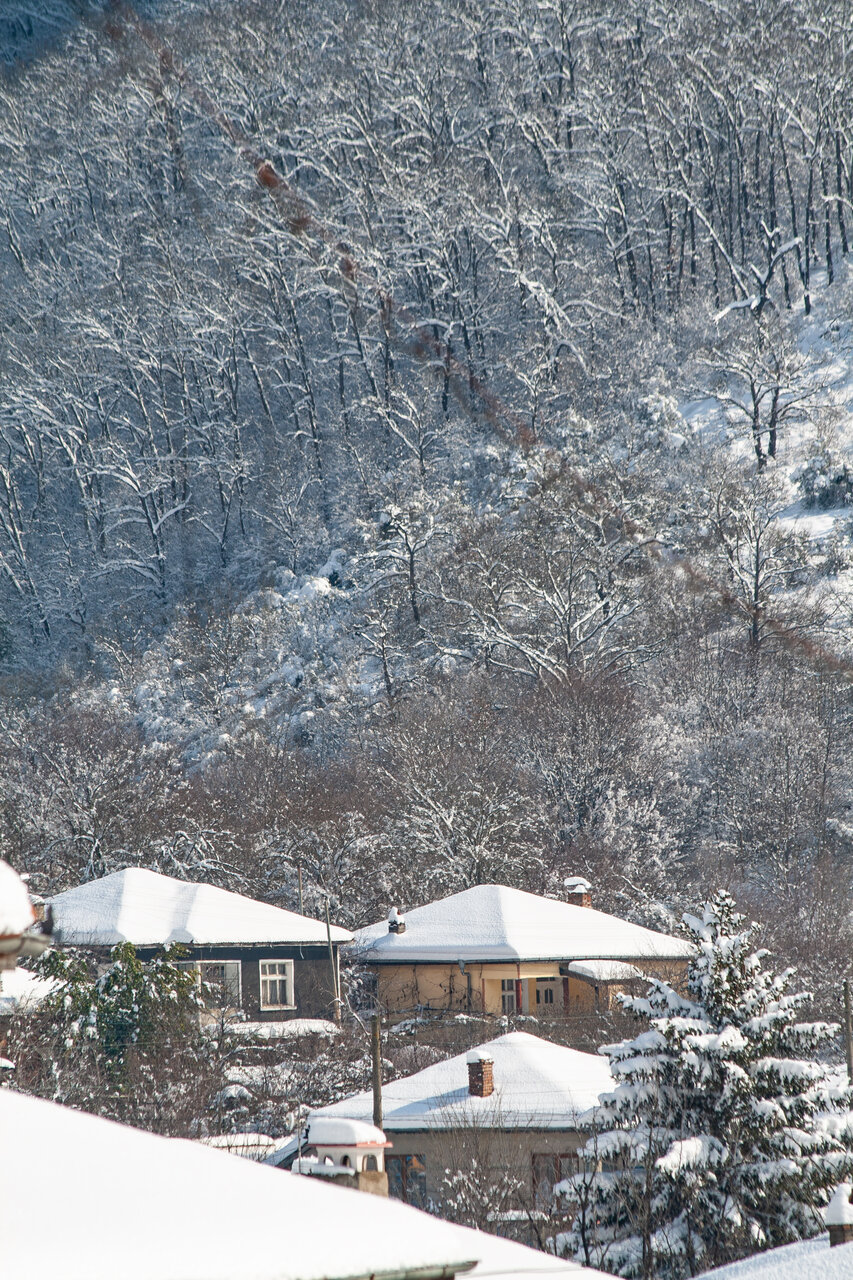  от Иво  Попов - ipopov