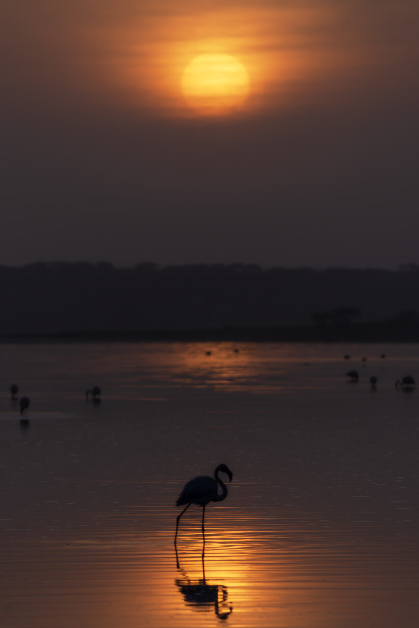 Малко след изгрев от Веселин Граматиков - vgramatikov