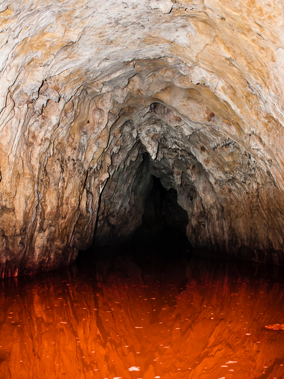 Гърлото змеево от Tzvetan Ostromsky - ceco