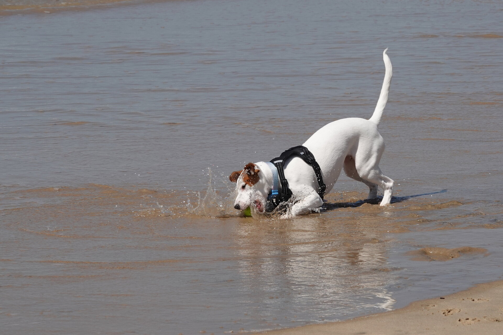 Хванах те! от Marina Nizamska - marinizam