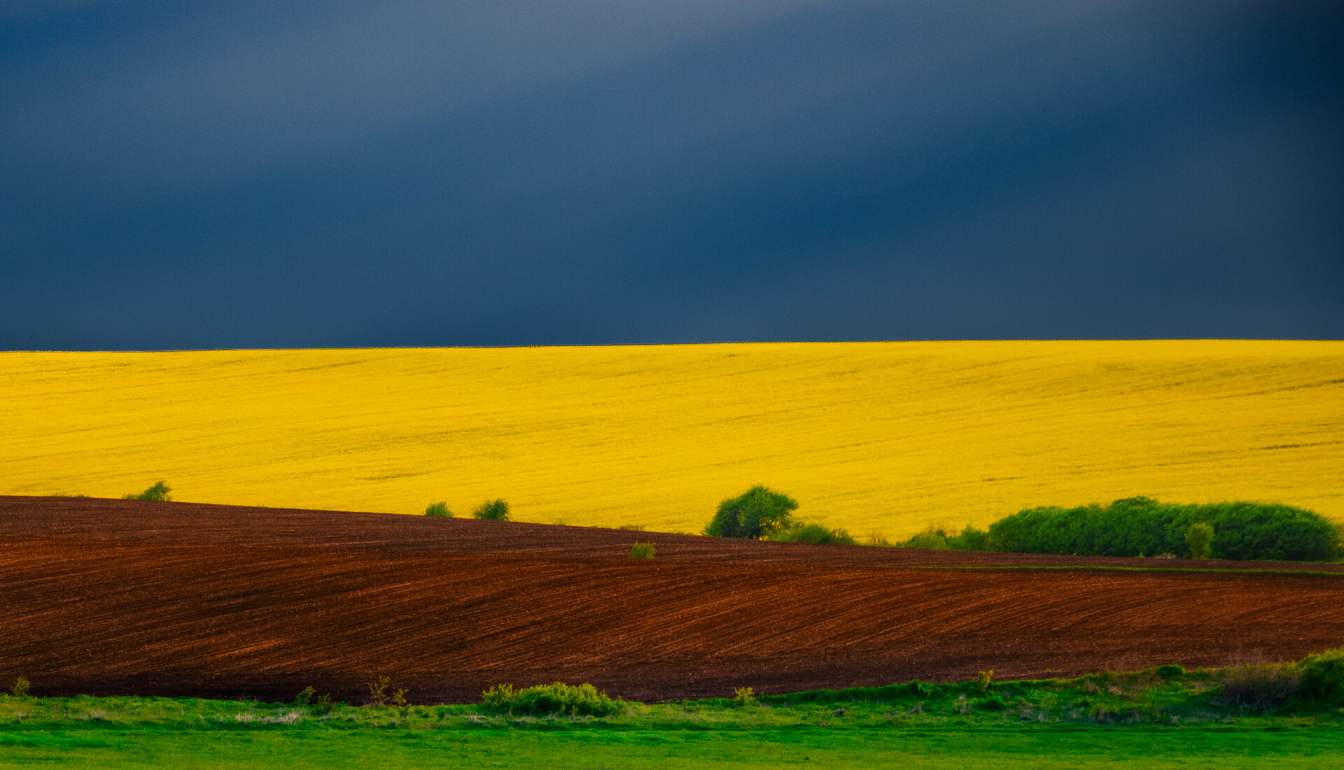Пролетна палитра от Petar Gochev - gochev.photography1
